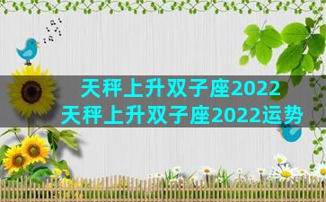 天秤上升双子座2022 天秤上升双子座2022运势